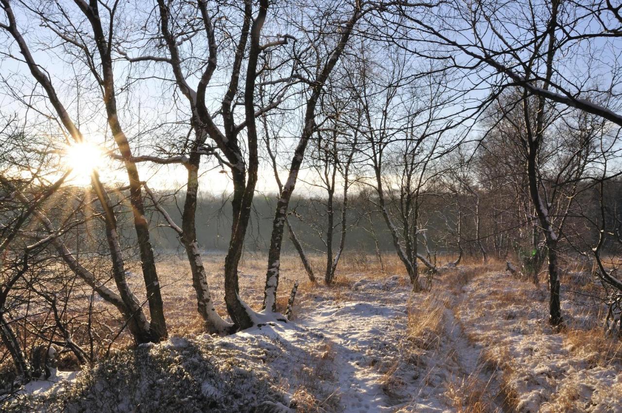 Ferienhof Jepsen Westerholz Esterno foto